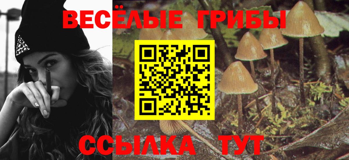 Псилоцибиновые грибы Psilocybine cubensis  Вход с VPN  Псилоцибиновые грибы Psilocybine cubensis  закладки  Усть-Илимск 